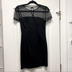 TOBI Black Sheer Polka Dot Mini Dress